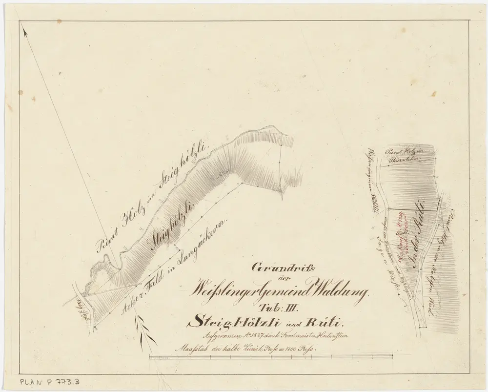 Weisslingen: Gemeindewaldung bzw. Genossenschaftswaldung: Gemeindewaldungen Steigholz (Steighölzli) und Rüti; Grundrisse (Tab. III)