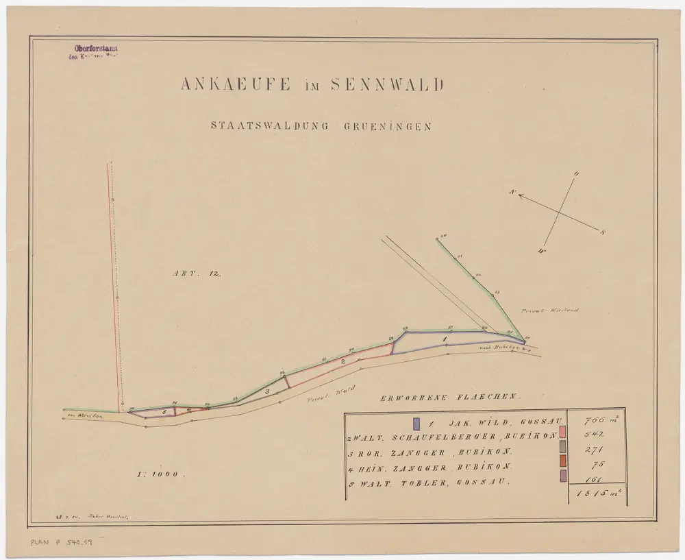 Grüningen, Gossau, Bubikon: Staats- und Privatwaldungen: Bubikon: Angekaufte Grundstücke im Sennwald; Grundriss