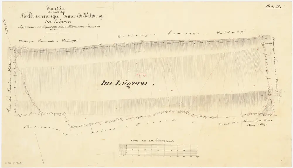 Niederweningen: Gemeindewaldung: Im Lägern; Grundriss (Tab. II)