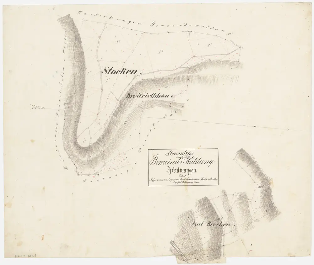 Hüntwangen: Gemeindewaldung: Stocken, Breitriethau, Birchen; Grundrisse (Tab. I)