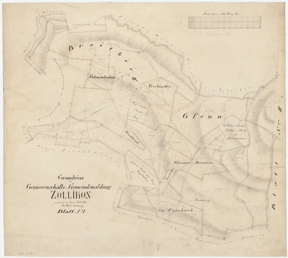 Zollikon: Genossenschafts- und Gemeindewaldungen; Grundrisse: Blatt I: Grundriss