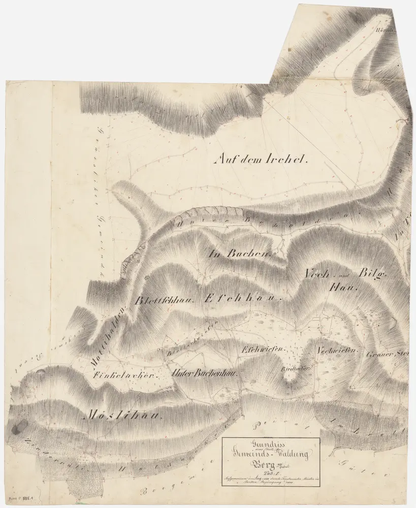 Berg am Irchel: Gemeindewaldung: Buechen, Mösli, Bilghau, Esch, Fäch (Vech), Mattihalden, Blettschhau; Grundriss (Tab. I)