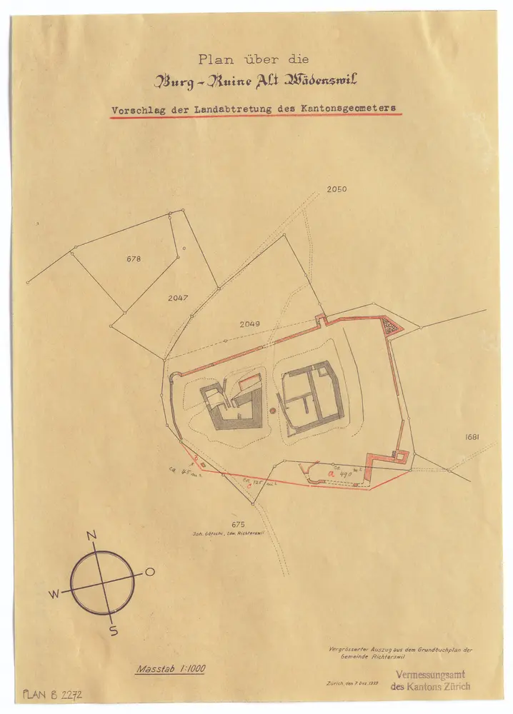 Wädenswil: Burgruine Alt-Wädenswil; Grundriss