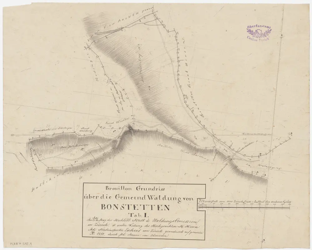 Bonstetten: Gemeinde- und Genossenschaftswaldungen: Gemeindewaldungen Müliberg (Im Mülliberg), Im Salzbrunnen; Grundriss (Tab. I)