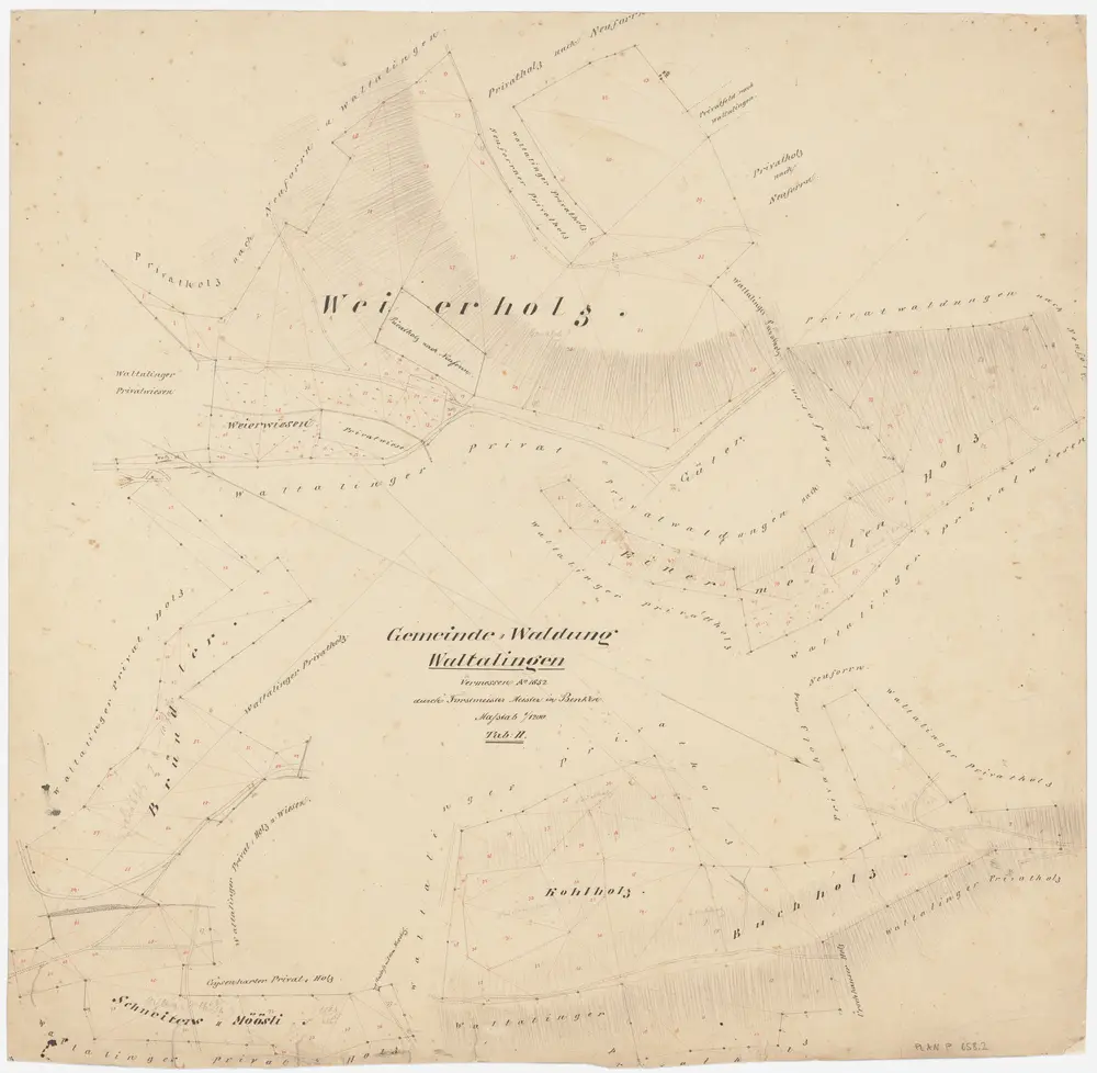 Waltalingen: Gemeindewaldung: Weierholz, Brünndler (Bründler), Schneiters Möösli, Cholbüül (Kohlholz), Buechholz (Buchholz), Einermettler (Einermettlen Holz); Grundrisse (Tab. II)