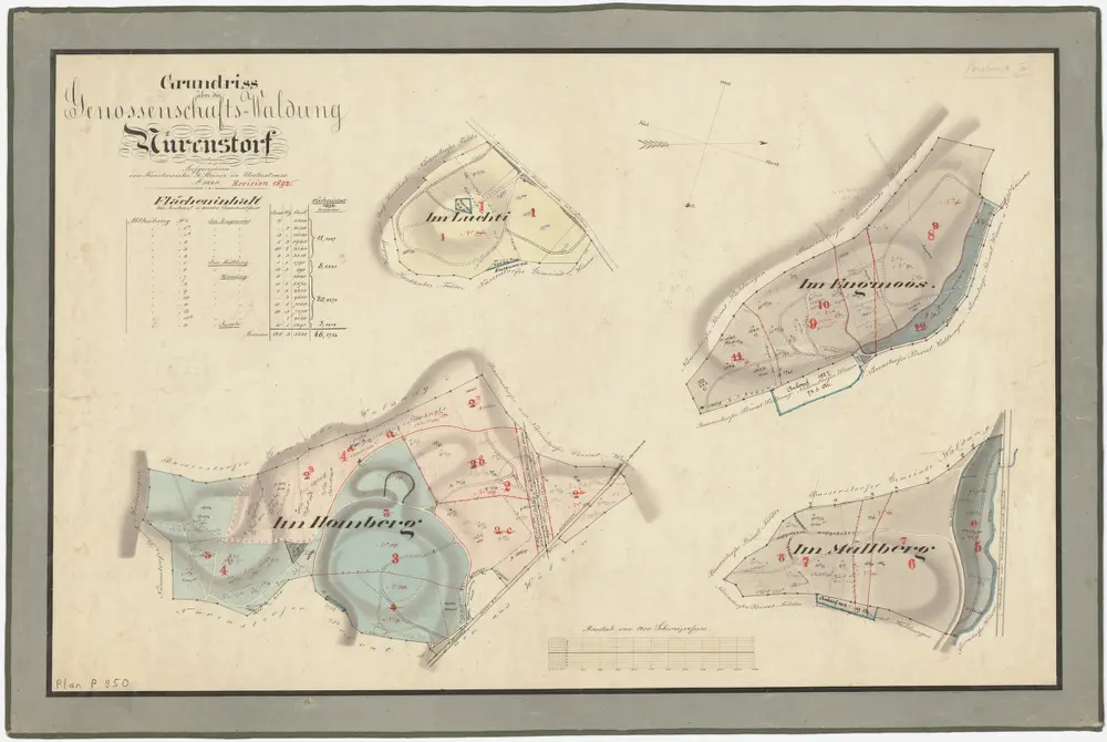 Nürensdorf: Genossenschaftswaldung Nürensdorf mit Homberg, Luchti, Engmoos, Mülberg (Mühlberg); Grundrisse