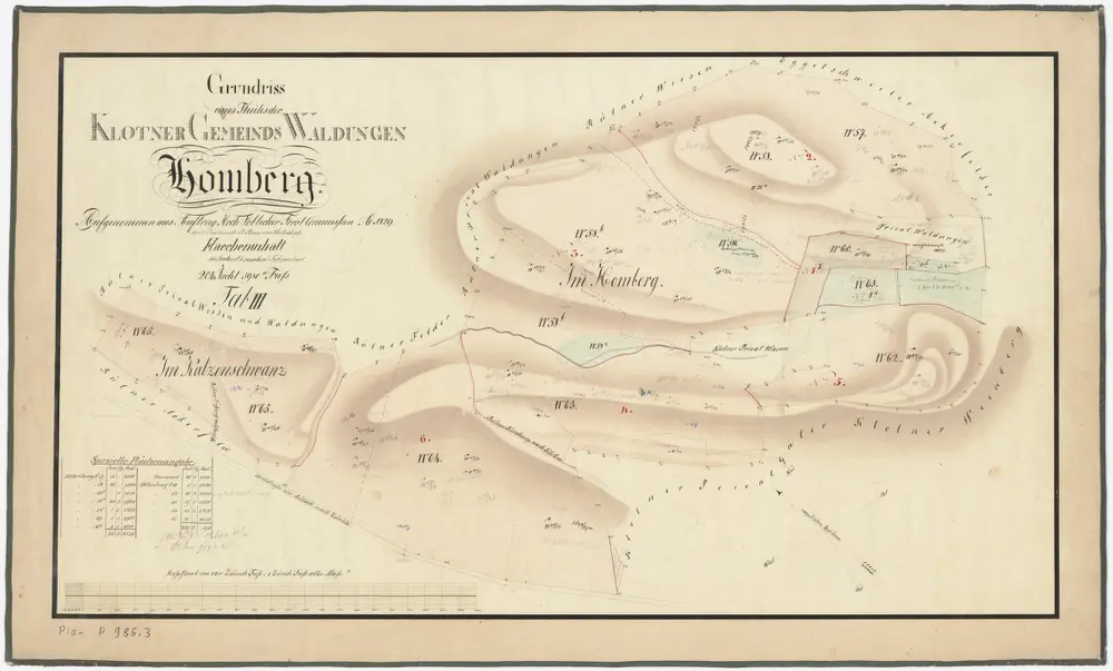 Kloten: Gemeindewaldungen: Chatzenschwanz (Katzenschwanz), Homberg; Grundriss (Tab. III)