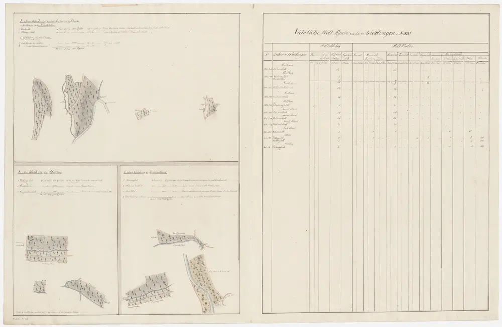 Rüti: Dem Amt Rüti gehörende Lehenwaldungen im Neuhaus, auf Haltberg und im Gulden Stand; Grundrisse (VIII. Planche)