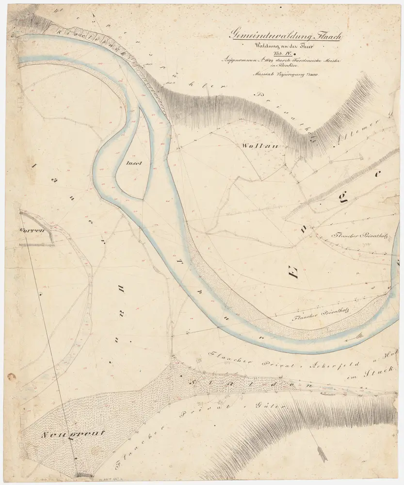 Flaach, Volken, Kleinandelfingen: Gemeindewaldung Flaach: Flaach: Wolau (Wollau), Engi (Enge), Insle (Insel), Neugrüt (Neugreut); Grundriss (Tab. IV)