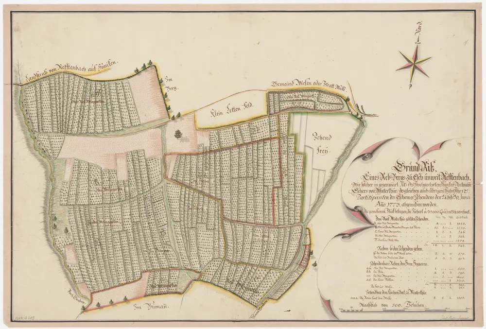 Neftenbach: Rebberg bei Aesch, zehntenpflichtig dem Amt Winterthur, den Herren Hegner sowie dem Kirchenamt Winterthur; Grundriss