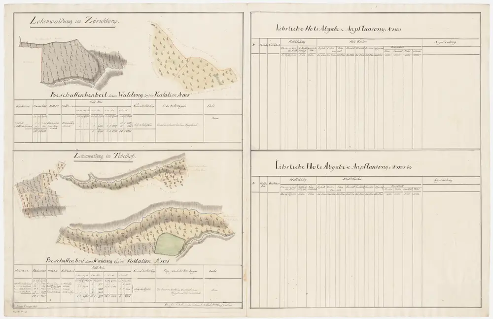 Fluntern: Dem Obmannamt gehörende Lehenwaldungen im Zürichberg und Tobelhof (Waldbezirke Sagentobel, Rossweidholz, Kühweidholz, Im alten Rank und Forrenweid); Grundrisse (VI. Planche)