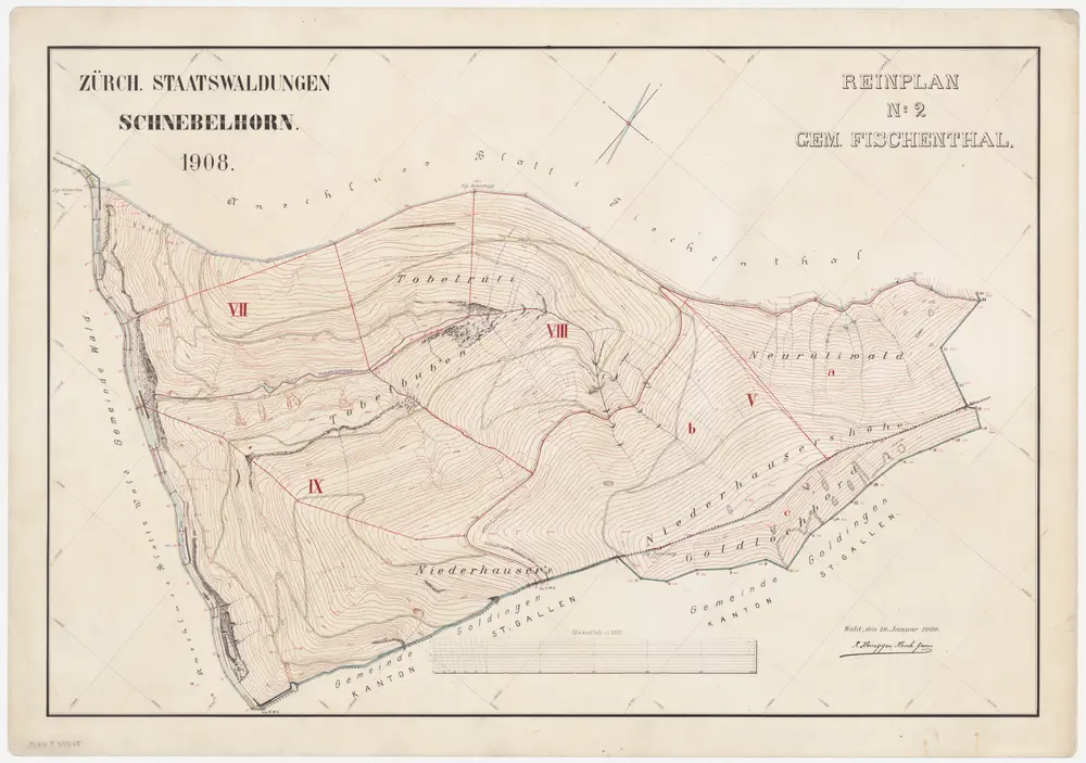 Wald, Fischenthal, Goldingen SG: Waldungen: Fischenthal: Staatswaldung Schnebelhorn; Grundriss (Reinplan Nr. 2)