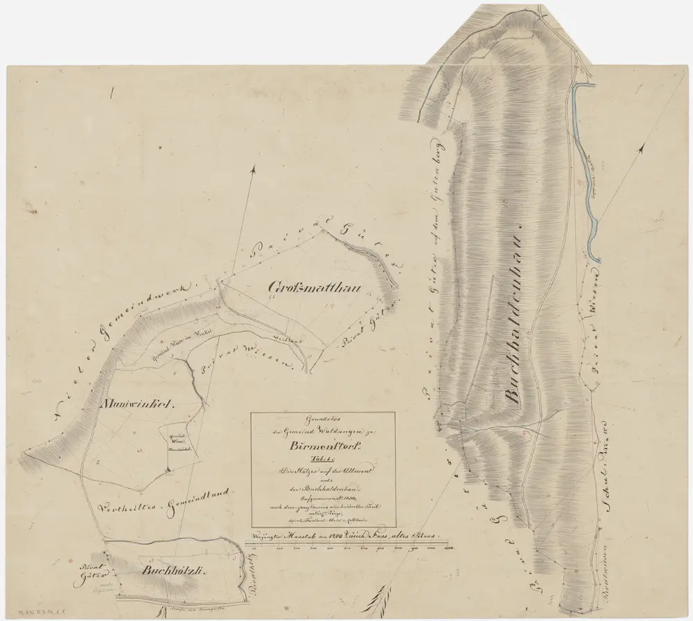 Birmensdorf: Gemeinde- und Genossenschaftswaldungen: Allmend, Buehalden (Buchhaldenhau), Grossmatt, Muniwinkel, Buchhölzli; Grundrisse (Tab. 1)