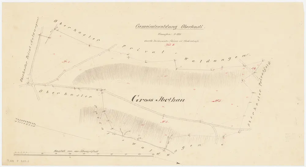 Niederhasli: Zivilgemeindewaldung Oberhasli: Ibig (Gross Ibethau); Grundriss (Tab. II)