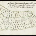 HZAN GA 100_Nr. 8_ : Adolzfurt; "Der gantze Helmer, sampt dem Sandrein ... im Adolzfurter Forst";Johann Jakob Huntzinger, Feldmesser zu Öhringen;"Der Waldmorgen zu 256 Ruten, der Feldmorgen aber zu 160 Ruten, die Ruten zu 16 Schuh gerechnet";88 x 41 cm;Papier; Grenze und Waldbäume grün getönt, ohne Höhenunterschiede.