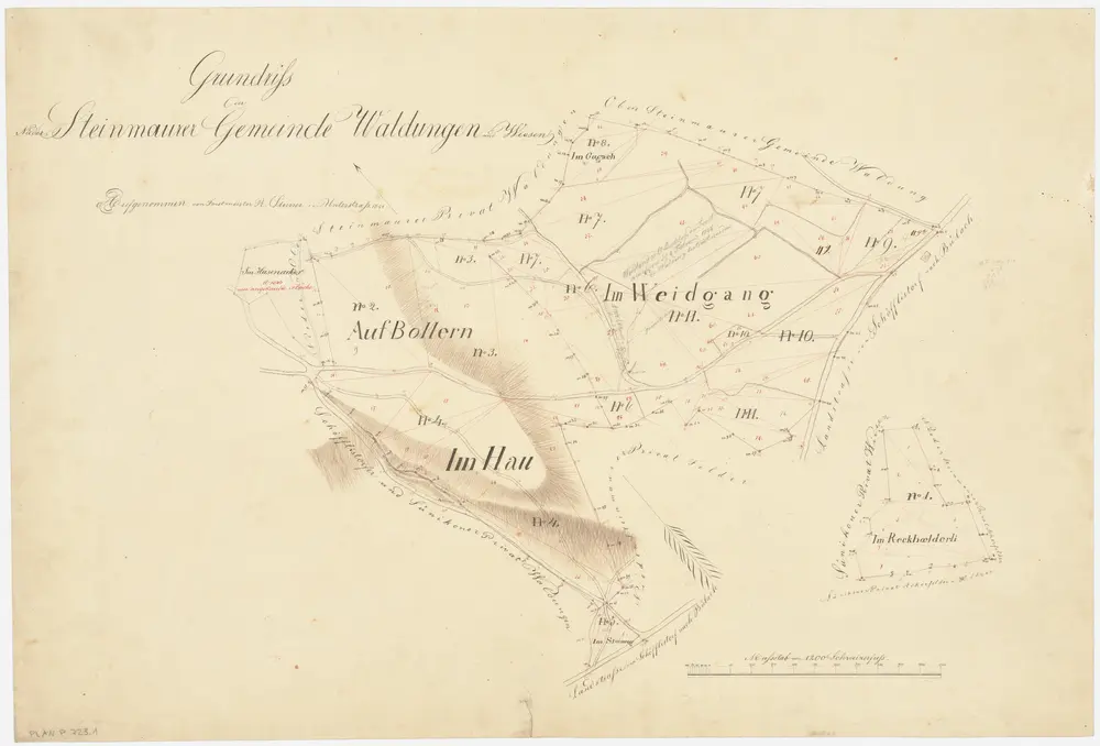 Steinmaur: Gemeinde- und Genossenschaftswaldungen: Steinmaurer Gemeindewaldungen und -wiesen Bolleren (Bollern), Hasenacher (Hasenacker), Guggach (Gugach), Weidgang, Hau, Steinweg, Räckhölderli (Reckhölderli); Grundrisse