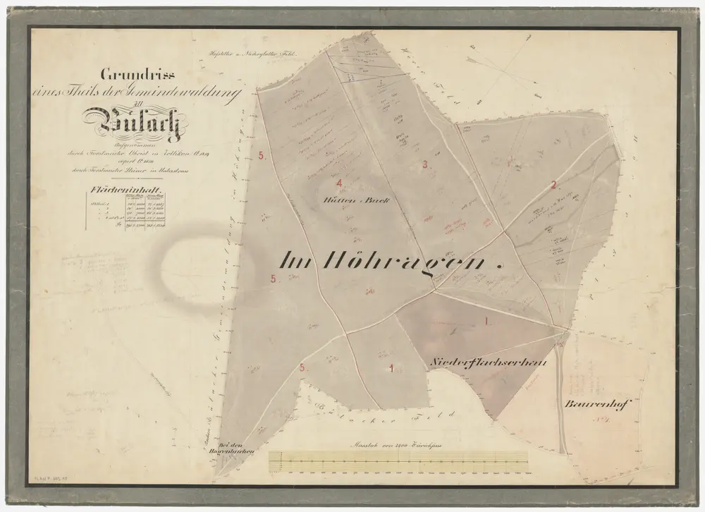 Bülach, Hochfelden: Gemeindewaldungen Bülach und Eschenmosen: Bülach: Höhragen, Hüttenbuck, Niederflachser Hau, Baurenhof, Hagenbuechen; Grundriss