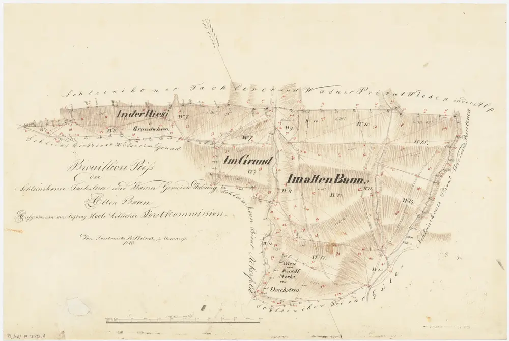 Schleinikon: Gemeindewaldungen Schleinikon, Dachsleren und Wasen: Altenbaa (Im alten Bann), Risi (In der Riesi), Grund; Grundriss