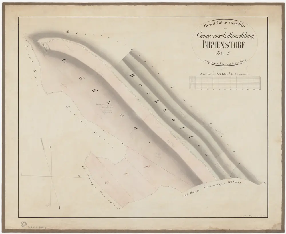 Birmensdorf: Gemeinde- und Genossenschaftswaldungen: Genossenschaftswaldungen Egghau, Buehalden (Buchhalden); Grundriss (Tab. II)