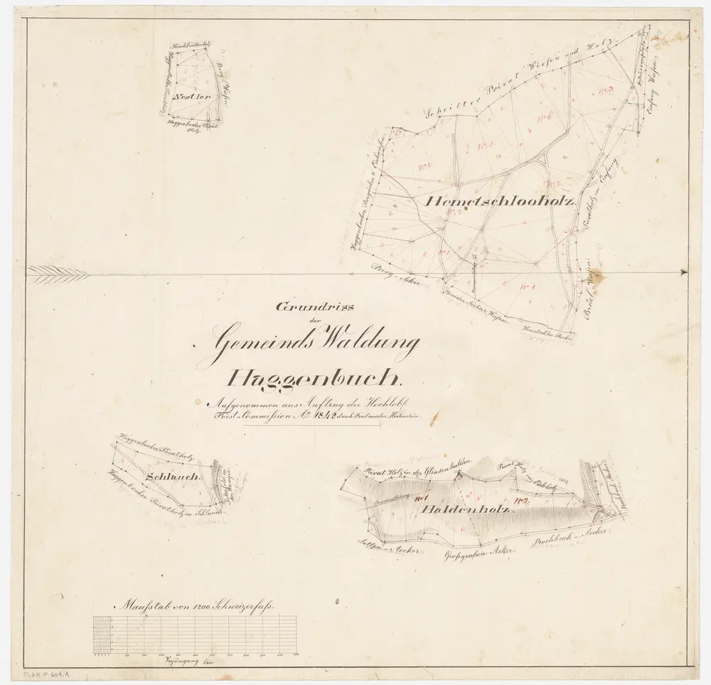 Hagenbuch: Gemeindewaldung: Hämetschloh (Hemetschlooholz), Schluch (Schlauch), Haldenholz, Nestler; Grundrisse