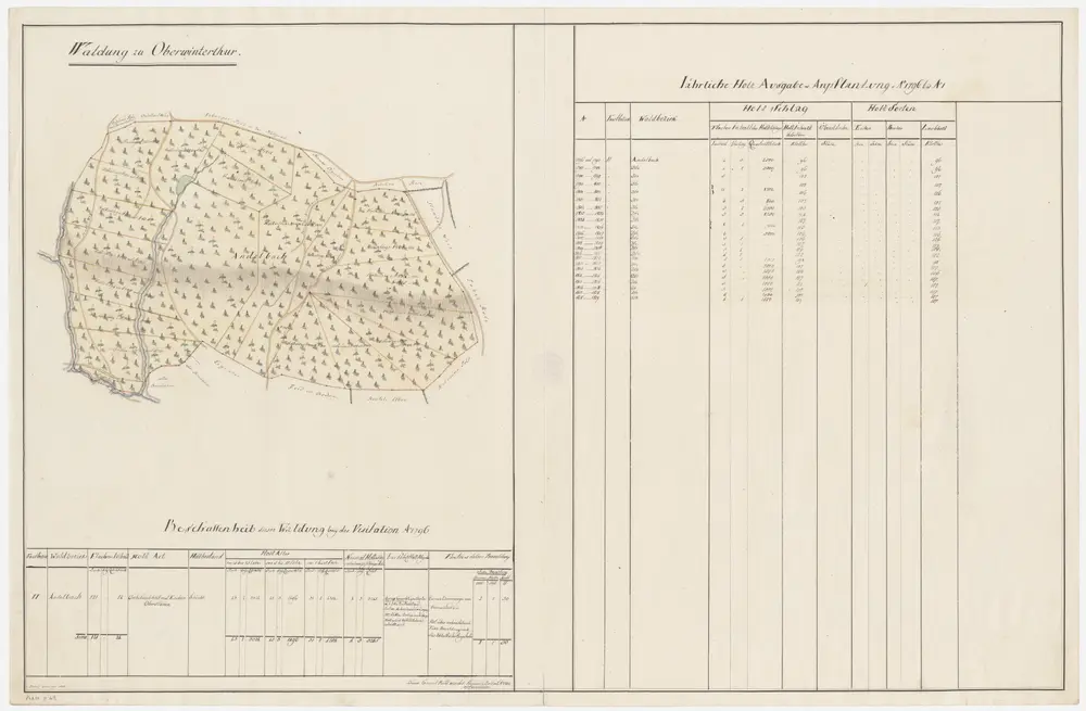 Oberwinterthur: Dem Amt Winterthur gehörende Waldung (Waldbezirk Andelbach); Grundriss (IV. Planche)