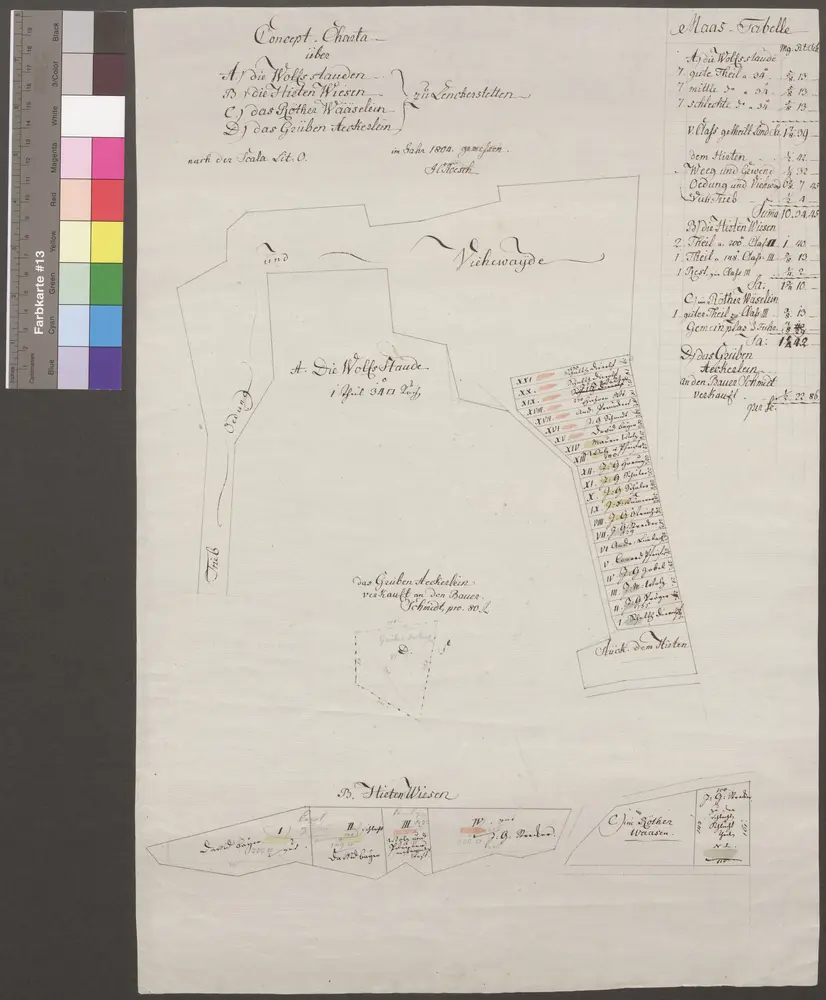 HZAN GA 100_Nr. 258_ : Lenkerstetten (Kr. Crailsheim); "Conzept-Charta über die Wolfsstauden, die Hirtenwiesen, das Rotherwäselein, das Grübenäckerlein zu Lenkerstetten";H. Roesch;ohne Maßstab;37 x 53 cm;Papier; Federzeichnung; Bodenverhältnisse durch Farben angegeben.