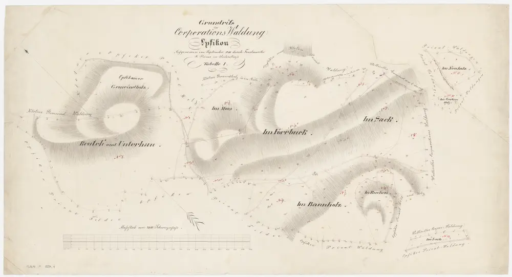 Opfikon: Gemeinde- und Genossenschaftswaldungen: Genossenschaftswaldungen Sack, Rüteli (Reuteli), Unterhau, Bannholz, Buchen, Forrbuck, Moos, Neuholz, Loch; Grundrisse (Tab. I)