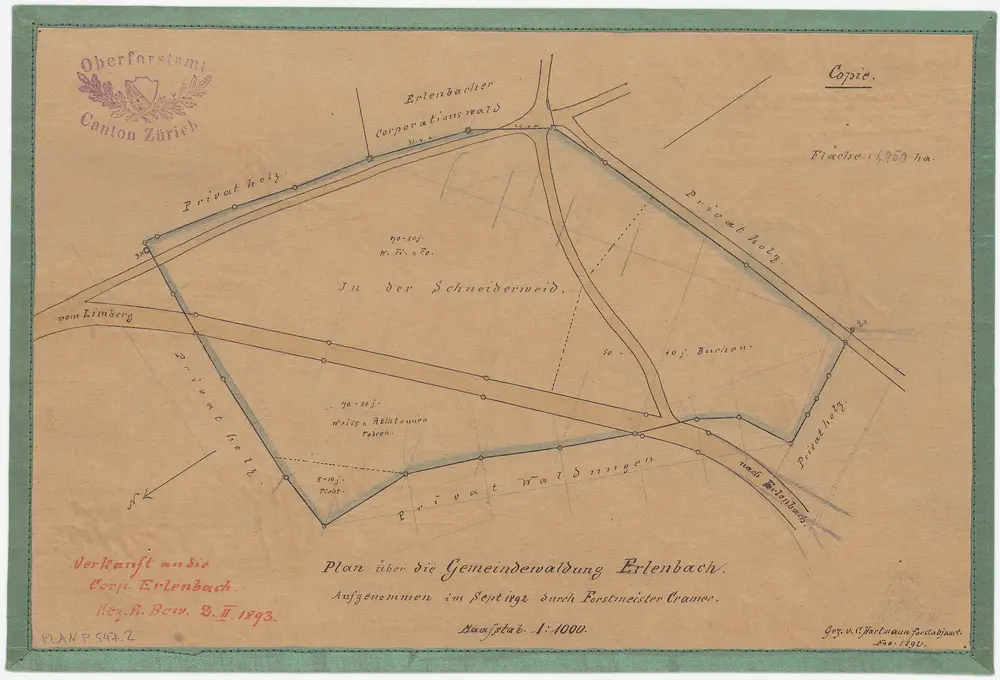 Erlenbach: Gemeinde- und Genossenschaftswaldungen: Gemeindewaldung Schniderweid (In der Schneiderweid); Grundriss