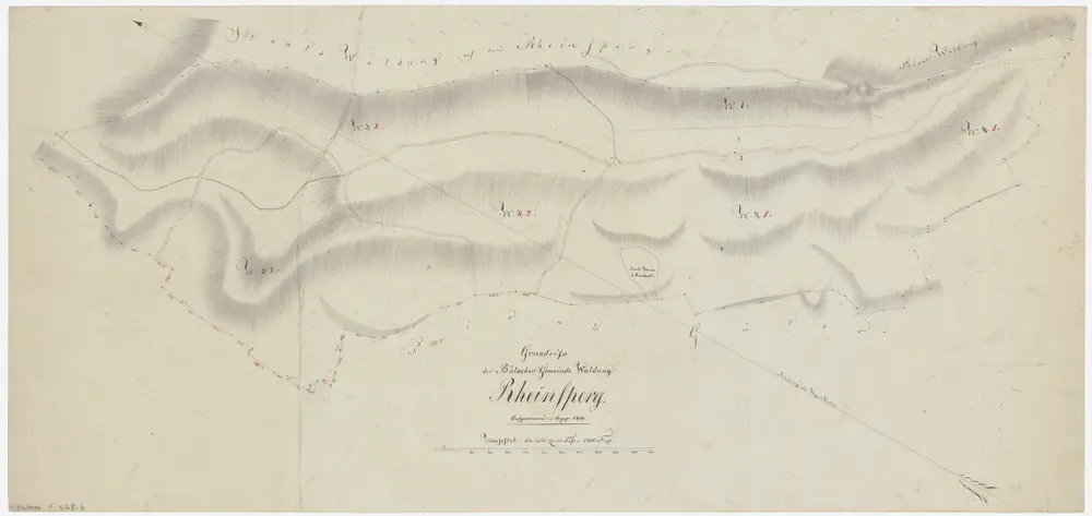 Bülach, Bachenbülach, Hochfelden: Gemeindewaldungen Bülach und Bachenbülach: Bülach: Rhinsberg (Rheinsberg); Grundriss