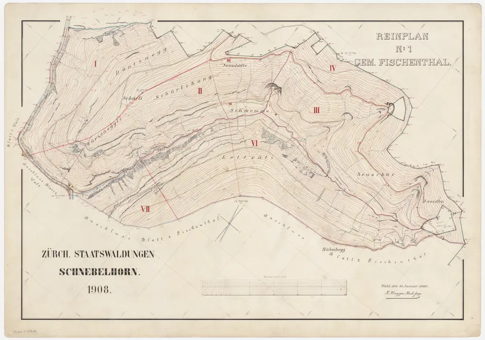 Wald, Fischenthal, Goldingen SG: Waldungen: Fischenthal: Staatswaldung Schnebelhorn; Grundriss (Reinplan Nr. 1)