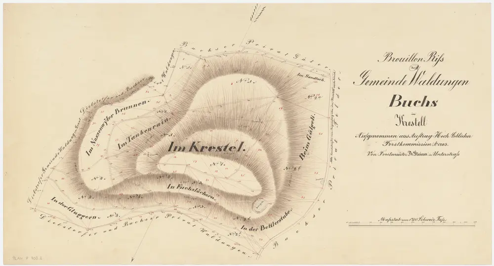 Buchs: Gemeindewaldung: Chrästel (Im Krestel); Grundriss