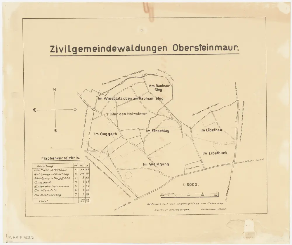 Steinmaur: Gemeinde- und Genossenschaftswaldungen: Obersteinmaurer Zivilgemeindewaldungen Guggach, Hinter der Holzwis (Hinter den Holzwiesen), Im Wiesplatz oben am Bachser Steg, Bachsersteg (Bachser Steg), Weidgang, Libethau, Libetbuck; Grundriss