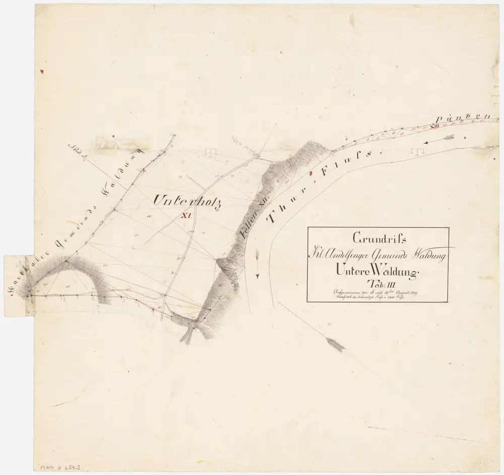 Kleinandelfingen: Gemeindewaldung: Unterholz, Felsen, Thur, Pünten; Grundriss (Tab. III)