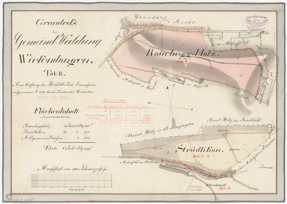 Wiesendangen, Oberwinterthur: Gemeinde- und Genossenschaftswaldungen: Wiesendangen: Gemeindewaldungen Ruchegg (Rauchegg), Strüdliker (Strüdikon); Grundrisse (Tab. II)