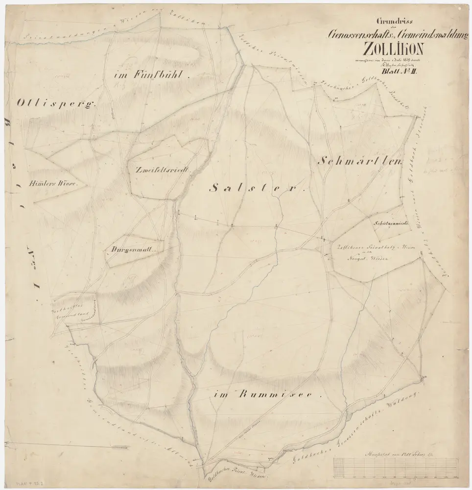 Zollikon: Genossenschafts- und Gemeindewaldungen; Grundrisse: Blatt II: Grundriss