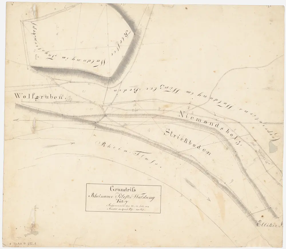 Rheinau: Gemeinde-, Kloster-, Genossenschafts- und Staatswaldungen: Klosterwaldungen Strickboden, Niemandsholz, Wolfsgrueben (Wolfgruben), Tugsteinchopf (Tugsteinkopf); Grundriss (Tab. 7)