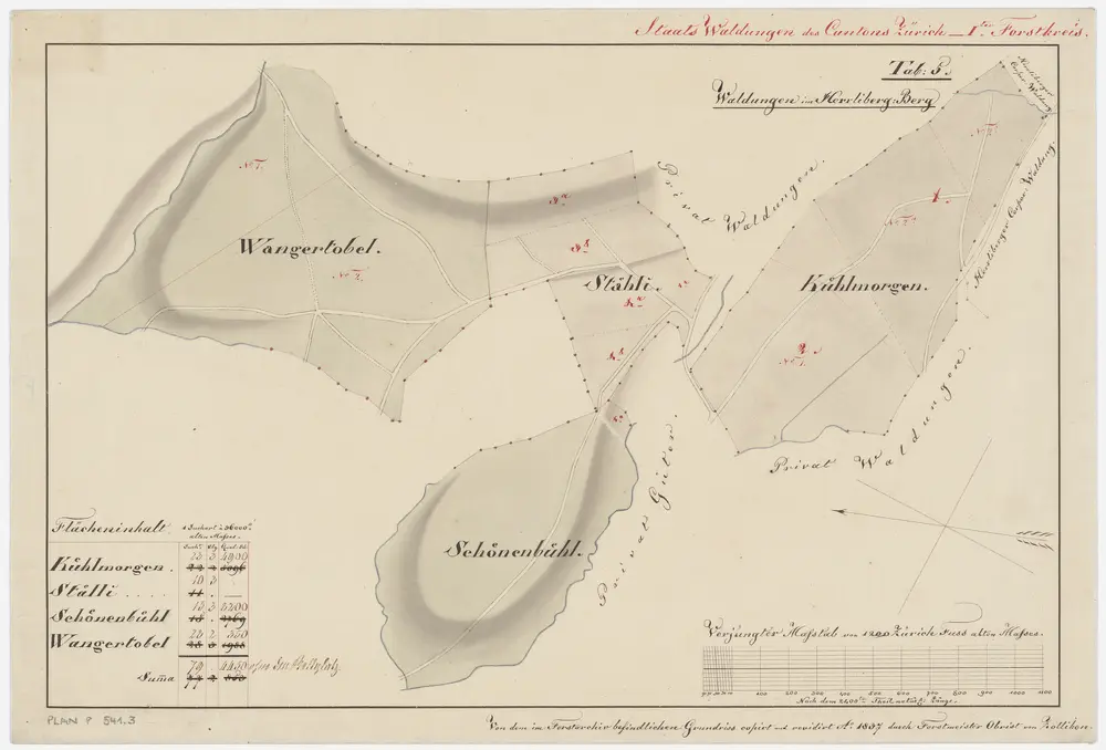 Maur, Herrliberg, Küsnacht, Egg: Staatswaldungen: Maur, Herrliberg, Küsnacht: Chüelenmorgen (Kühlmorgen), Schönbüel (Schönenbühl), Wangnertobel (Wangertobel); Grundrisse (Tab. 5)