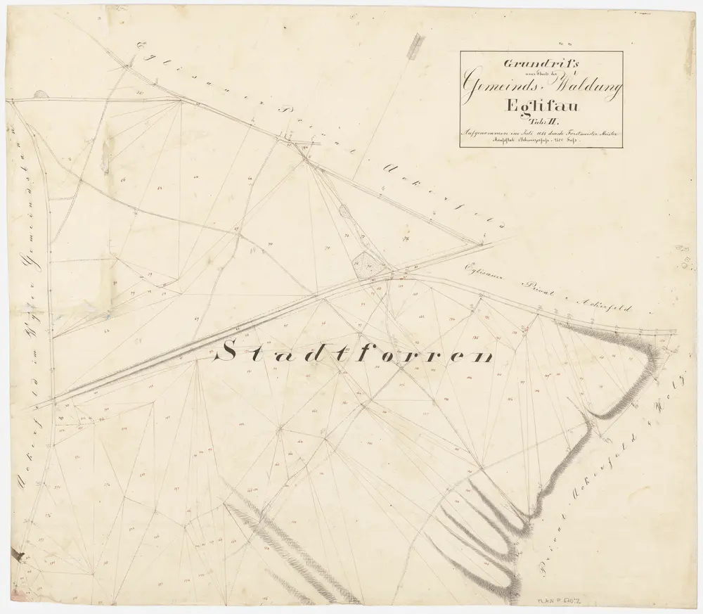Eglisau, Hüntwangen: Gemeindewaldungen: Eglisau: Stadtforen (Stadtforren); Grundriss (Tab. II)