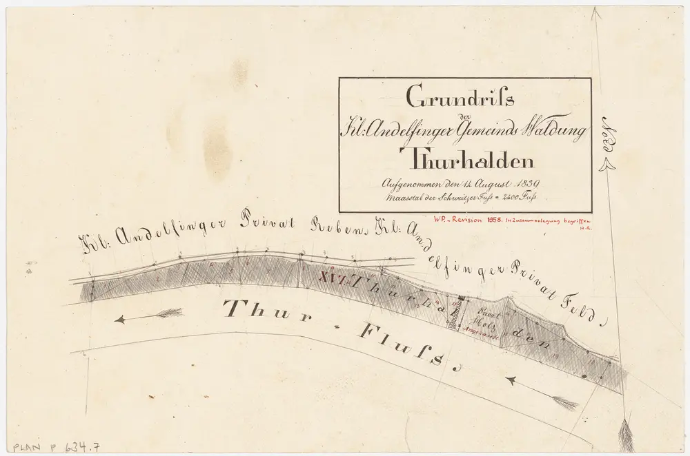 Kleinandelfingen: Gemeindewaldung: Thurhalden; Grundriss