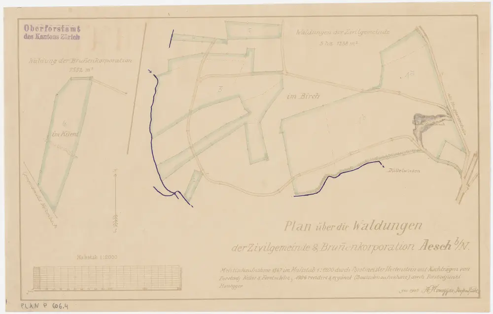 Neftenbach: Gemeindewaldung Aesch: Gemeindewaldung Aesch mit Waldung der Brunnenkorporation im Chüeni (Küeni) sowie Waldungen der Zivilgemeinde im Birch; Grundrisse