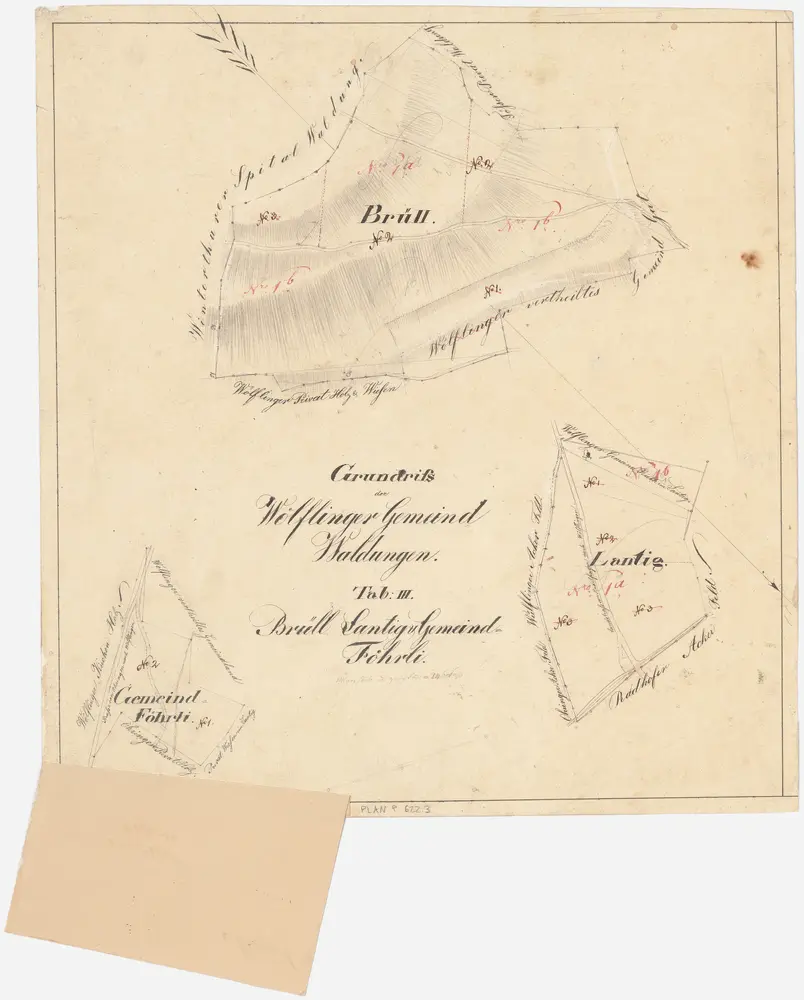 Wülflingen: Gemeinde- und Kirchgemeindewaldungen: Gemeindewaldungen Lantig, Brüelwald (Brüll), Gemeindföhrli; Grundrisse (Tab. III)