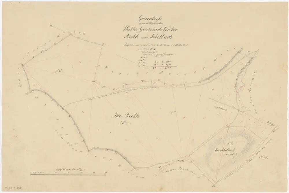 Regensdorf: Gemeindegüter Watt mit Riet und Seebel (Sebelbuck); Grundriss