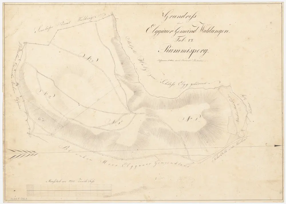 Elgg: Gemeindewaldung: Rumisberg; Grundriss (Tab. VI)