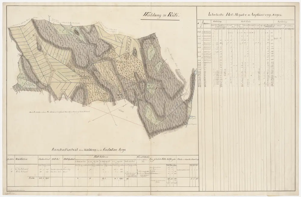 Rüti: Dem Amt Rüti gehörende Waldung zu Rüti (Waldbezirke Ober- und Unter-Rütiwald); Grundriss (I. Planche)