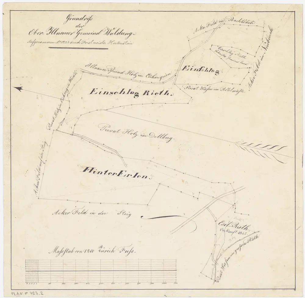 Illnau-Effretikon (damals Illnau): Gemeinde- und Genossenschaftswaldungen Oberillnau und Unterillnau: Gemeindewaldung Oberillnau mit Eselriet (Eselrieth), Hintererlen, Ischlag (Einschlag); Grundriss