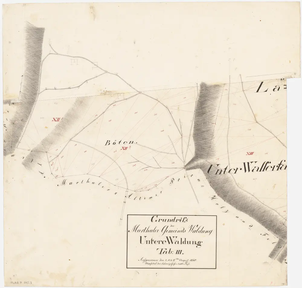 Marthalen: Gemeindewaldung: Untere Waldung mit Botzen, Unter den Wasserfall, Luterholz (Lauterholz); Grundriss (Tab. III)