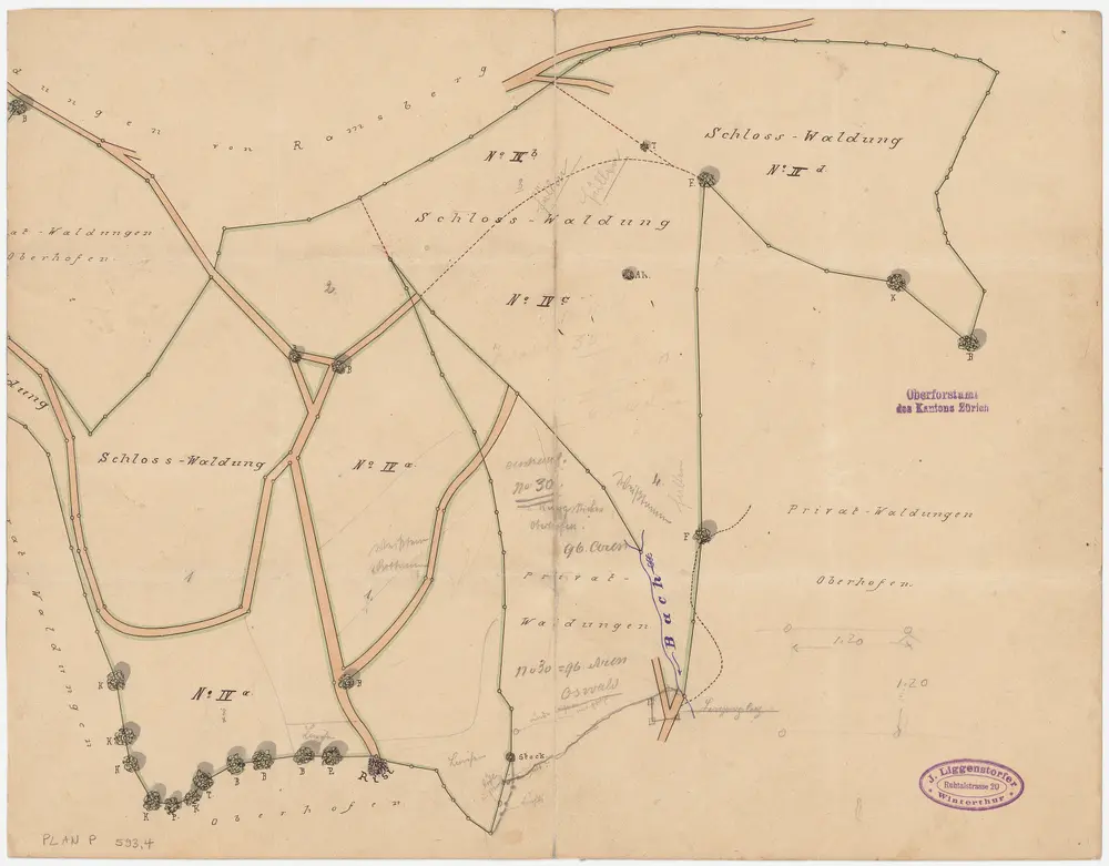Turbenthal: Staats- und Privatwaldungen: Schlosswaldung Ta (Thaaholz), Abteilungen IV a - IV d; Grundriss