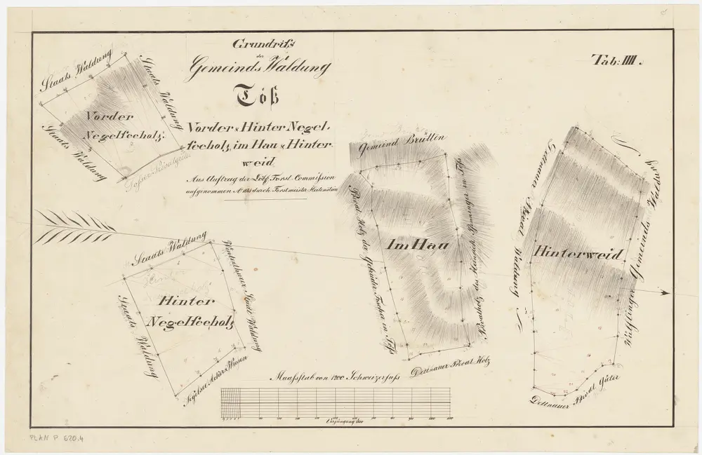 Töss: Gemeinde- und Genossenschaftswaldungen: Gemeindewaldungen Im hinteren Nägelseeholz, Im vorderen Nägelseeholz, Im Hau, Hinterweid; Grundrisse (Tab. IV)
