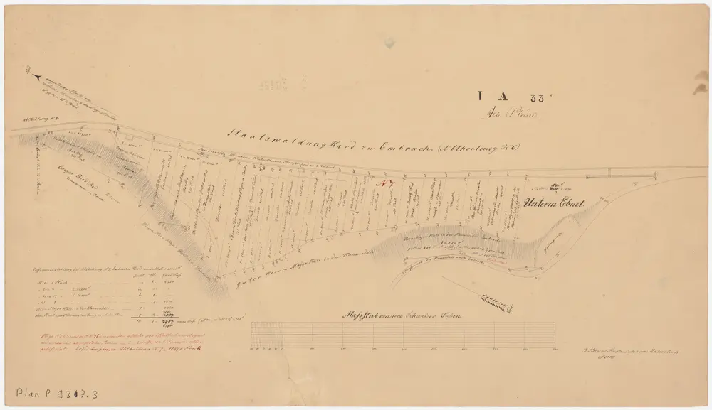 Embrach: Vom Staat in den Jahren 1856-1878 versteigerte Parzellen in der Staatswaldung Hard: Im Oktober 1856 versteigerte Parzellen; Grundriss