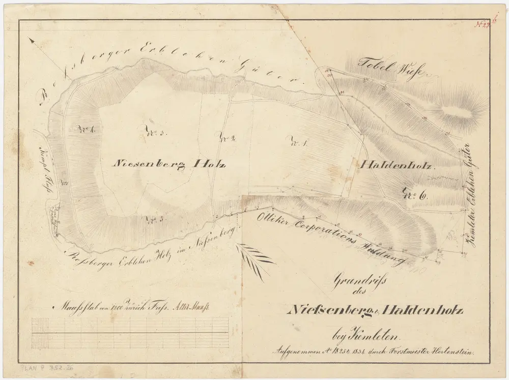 Kyburg, Töss, Illnau-Effretikon (damals Illnau), Schlatt: Staatswaldung: Töss: Niesenbergholz, Haldenholz; Grundriss (Nr. 22 b)